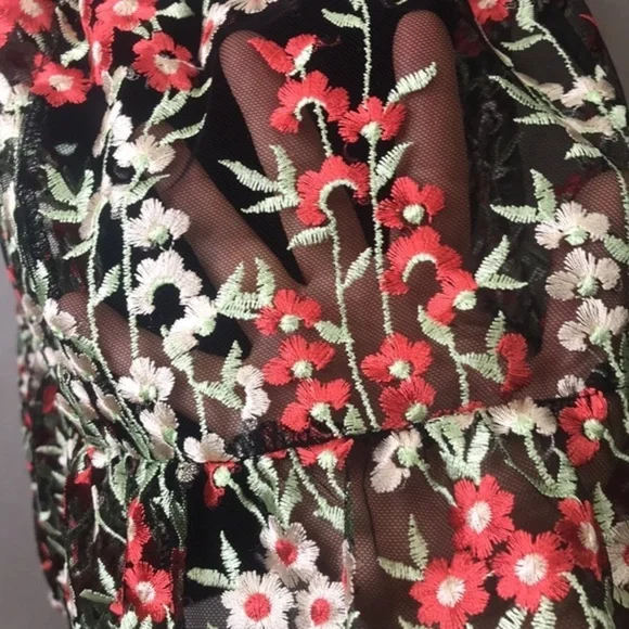 ANTHROPOLOGY HD in Paris Embroidered Emilia Women's Dress Sz 4 - Picture 10 of 11